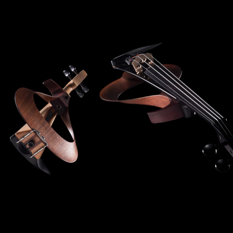 88858cc永利官网弦乐器