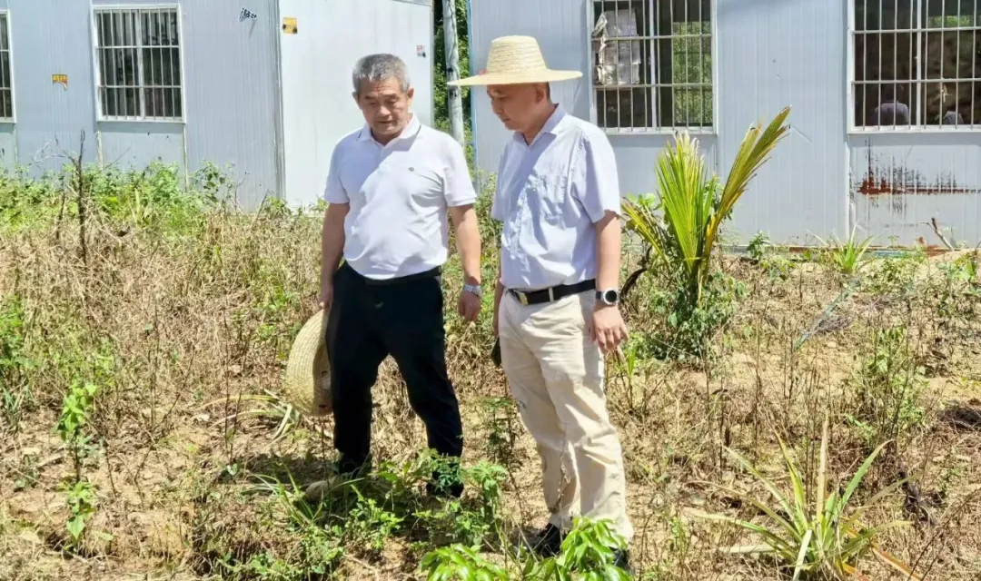 15694151dc294e0ab245d6219e5f6160