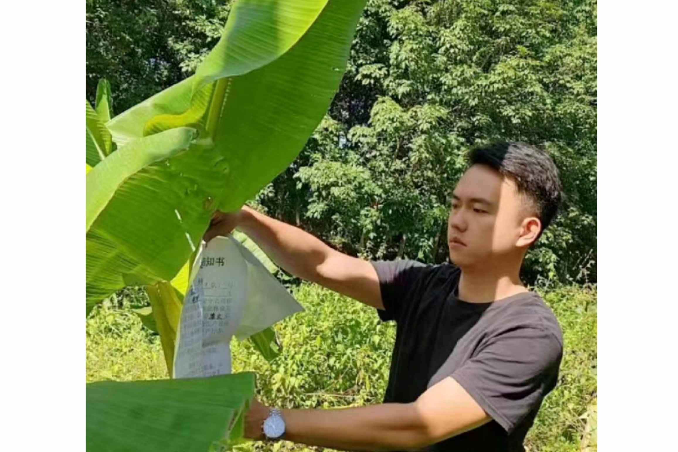 209f7f454b8c4147a7e54024d85bc484