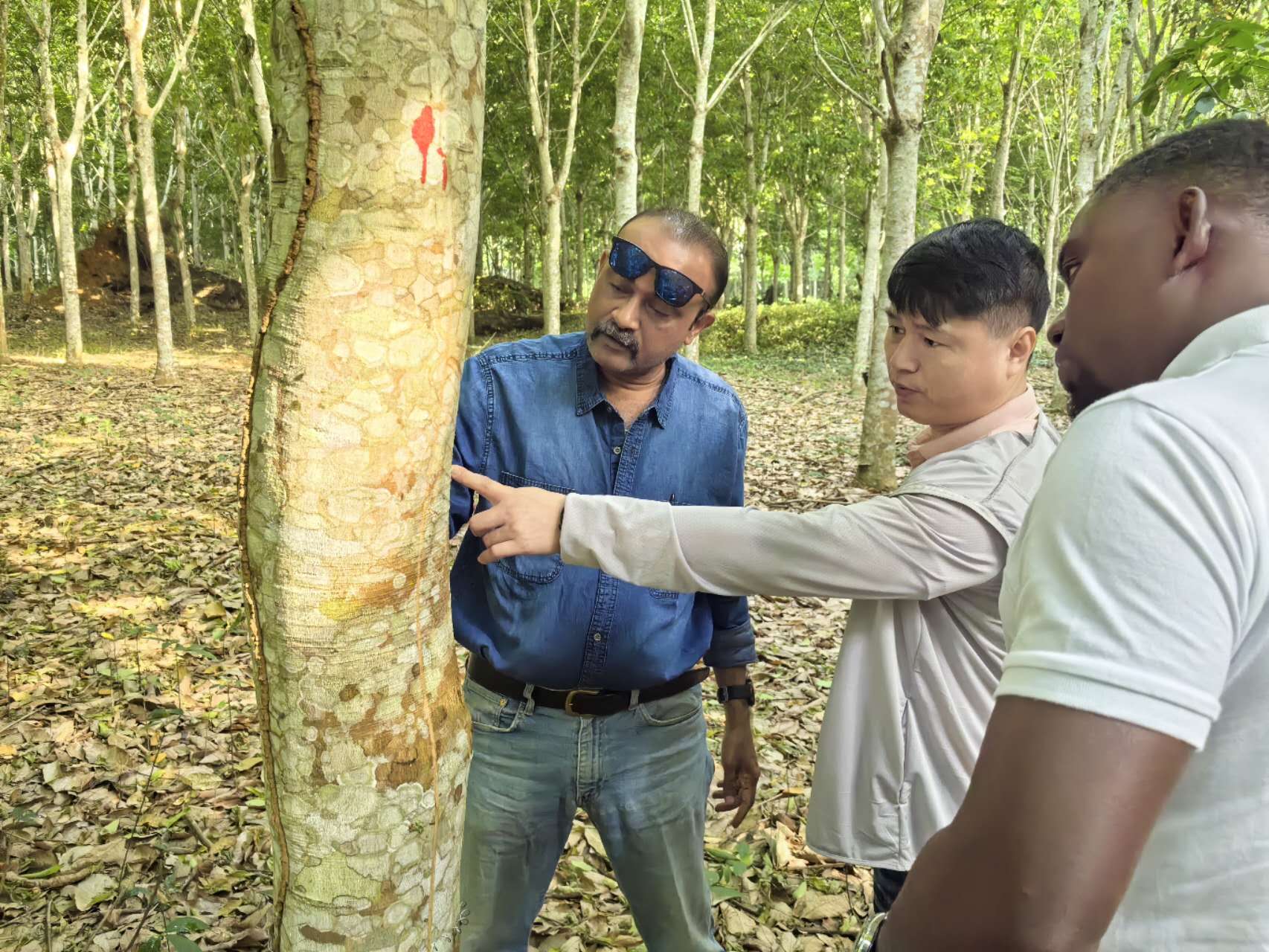 2ff126476d3a473eb58d649867e3238b