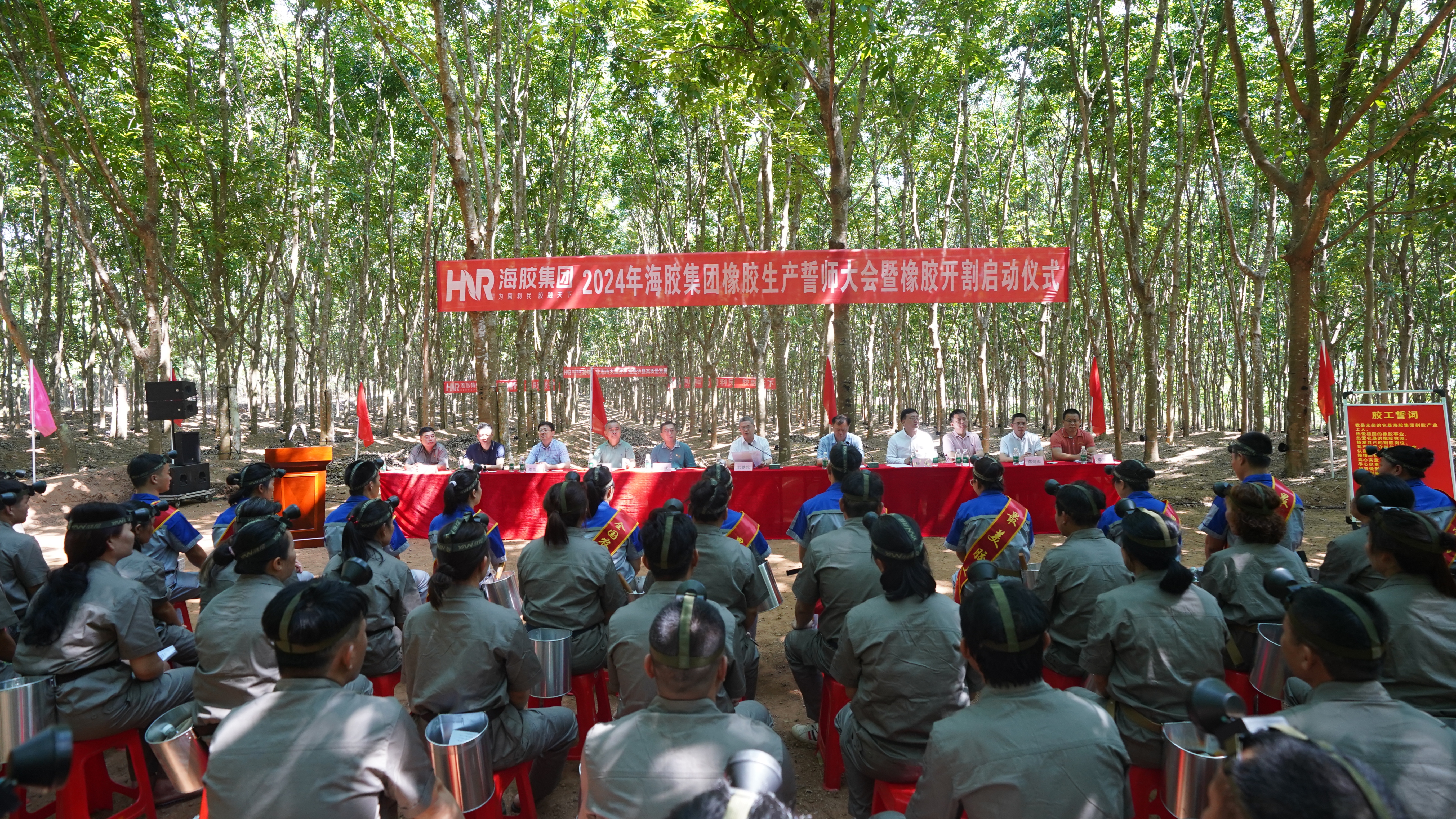 569748c9462a4bdfa70394a62a847ed8