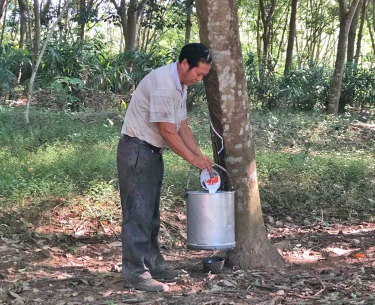 7bd7b92b67ee406c8e482caacca017ec