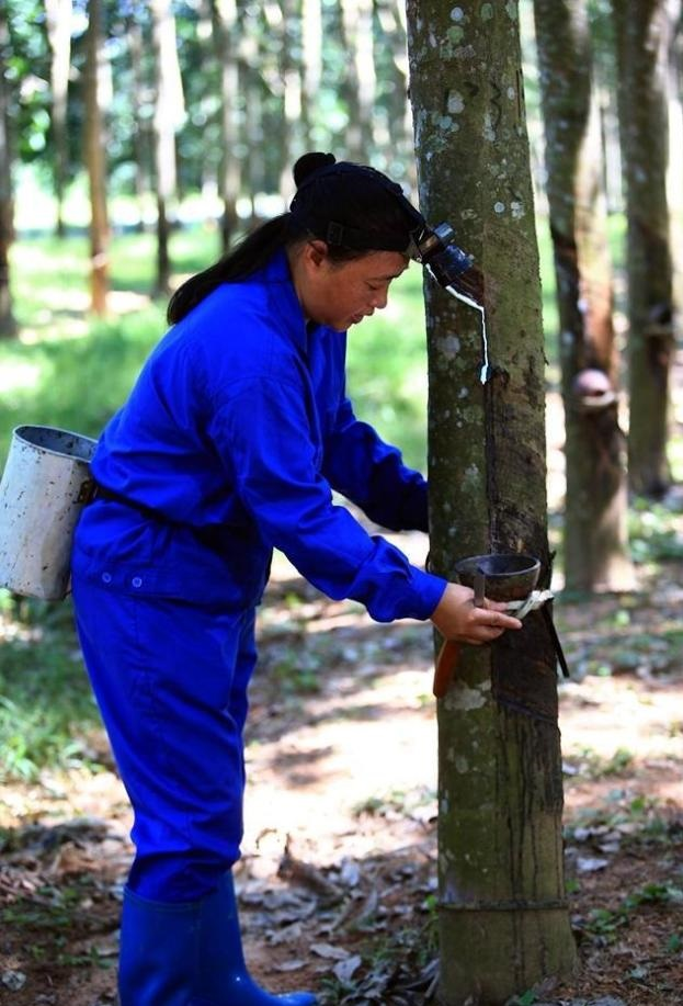 9ff33b46ee494508a991c0e7307fe6cf