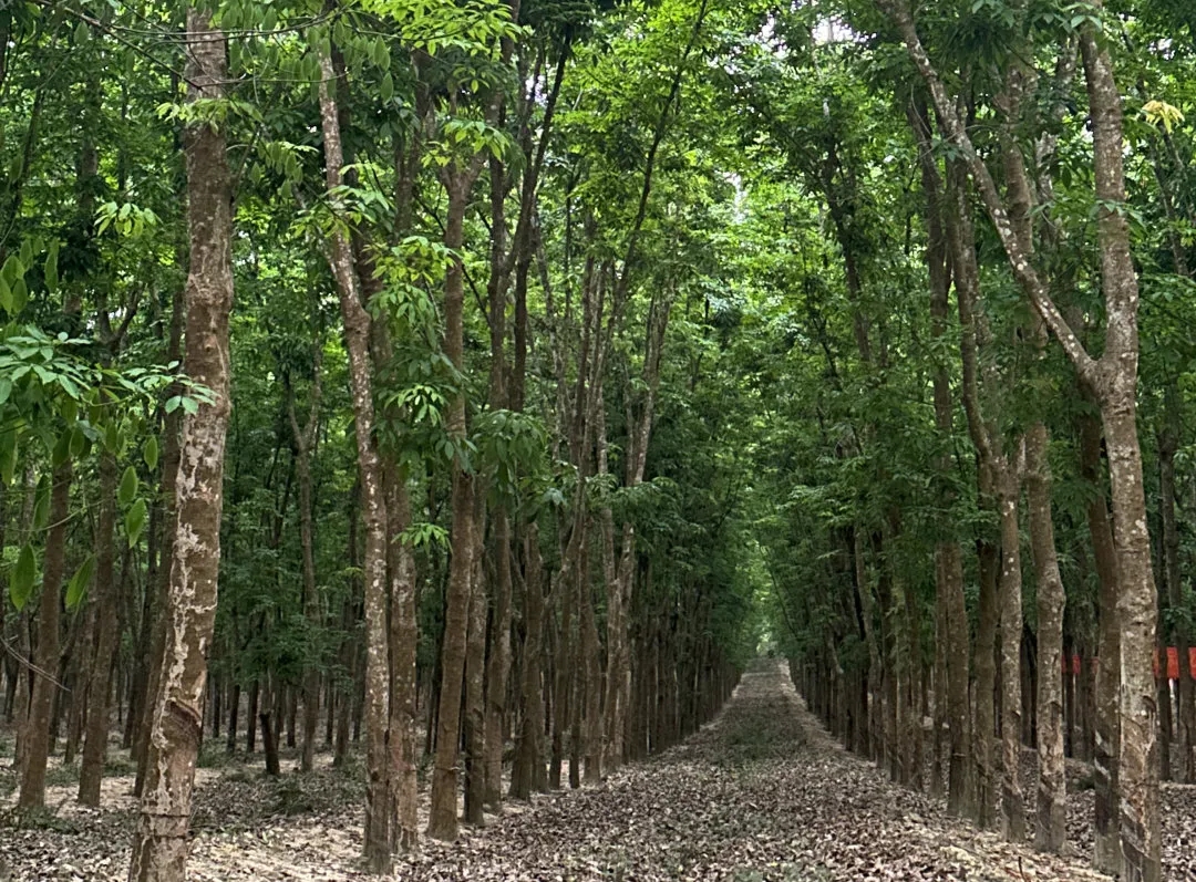 a71ed71c71e94cc8a53301b2067c3c1b