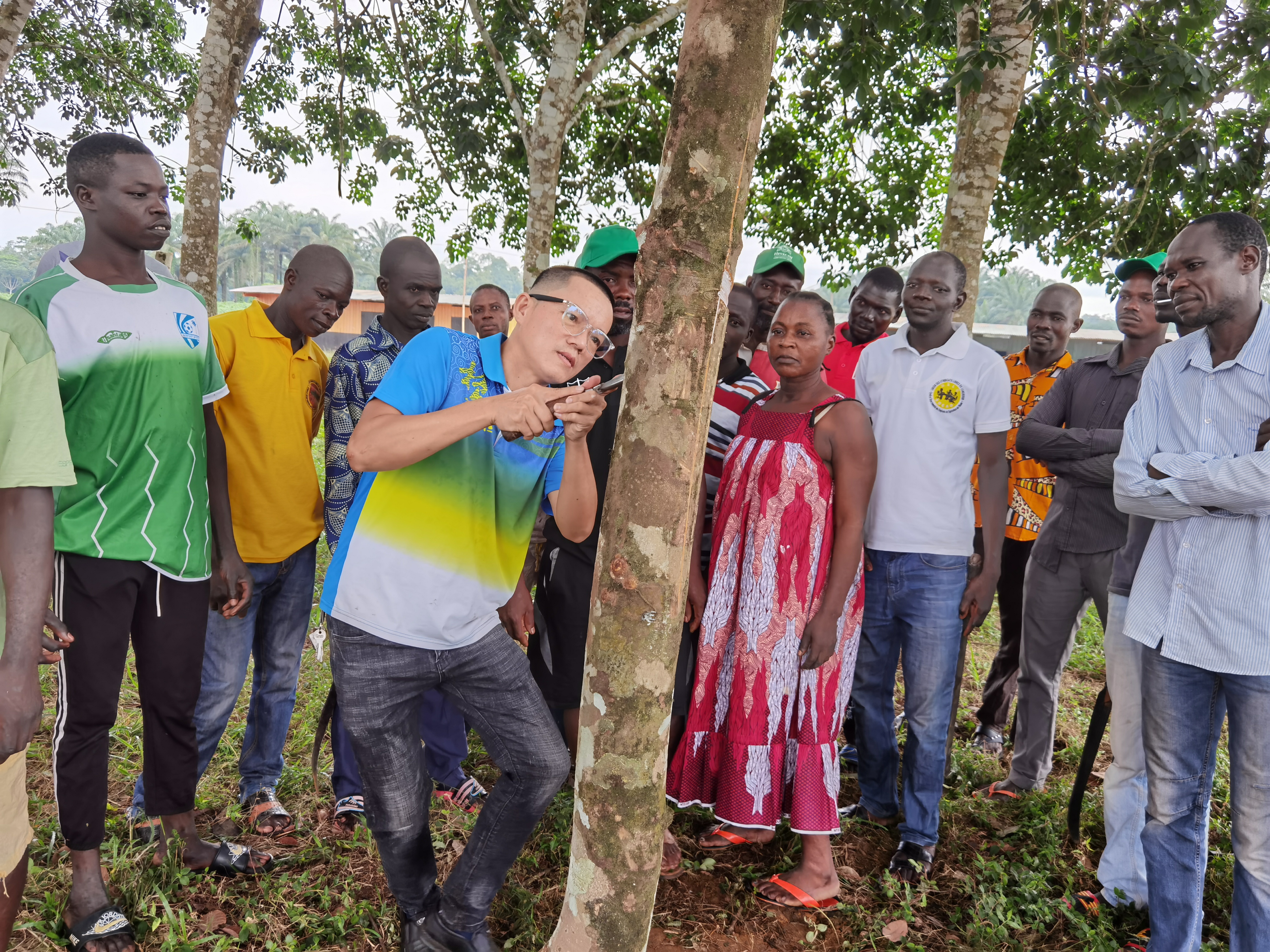 f371fe92cf6541edb949b9356c68823e