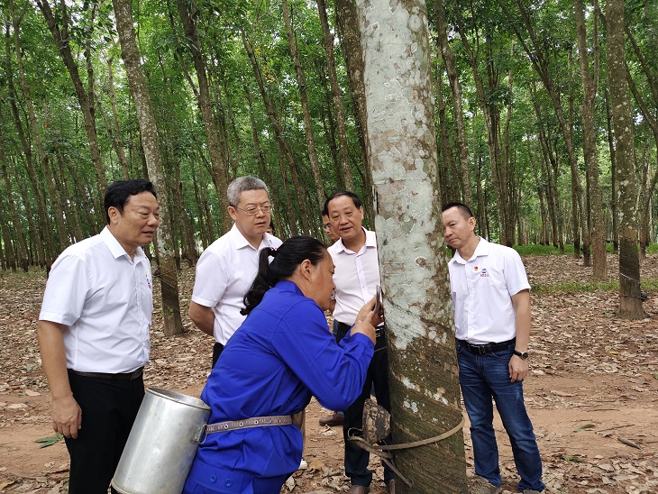 首页- 南宫NG28国际集团官方网站