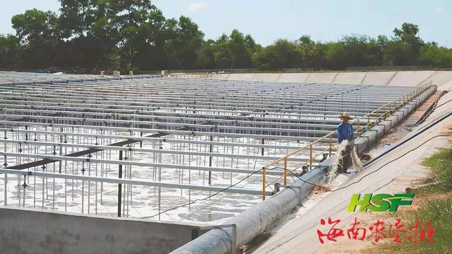 首页- 南宫NG28国际集团官方网站