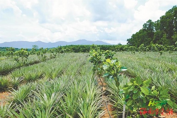 首页- 南宫NG28国际集团官方网站