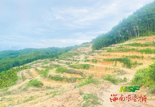 首页- 南宫NG28国际集团官方网站