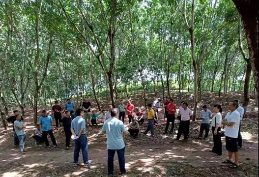 首页- 南宫NG28国际集团官方网站