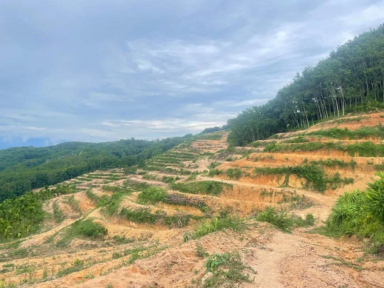 首页- 南宫NG28国际集团官方网站