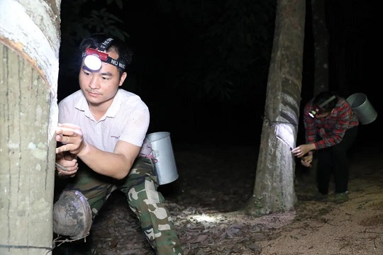 首页- 南宫NG28国际集团官方网站