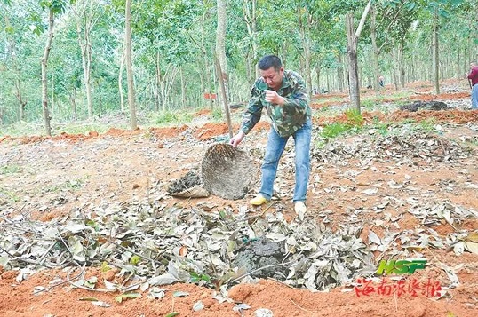 首页- 南宫NG28国际集团官方网站