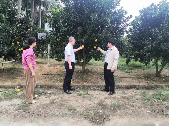 首页- 南宫NG28国际集团官方网站