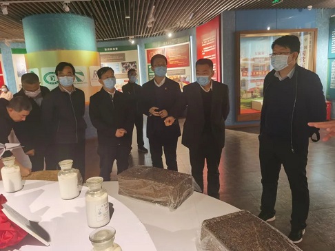 首页- 南宫NG28国际集团官方网站