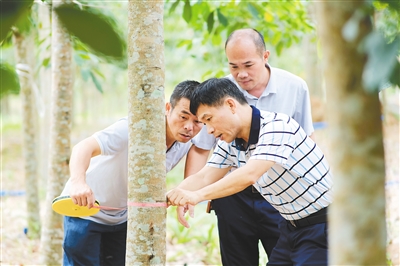 首页- 南宫NG28国际集团官方网站