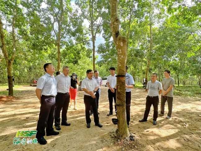 首页- 南宫NG28国际集团官方网站