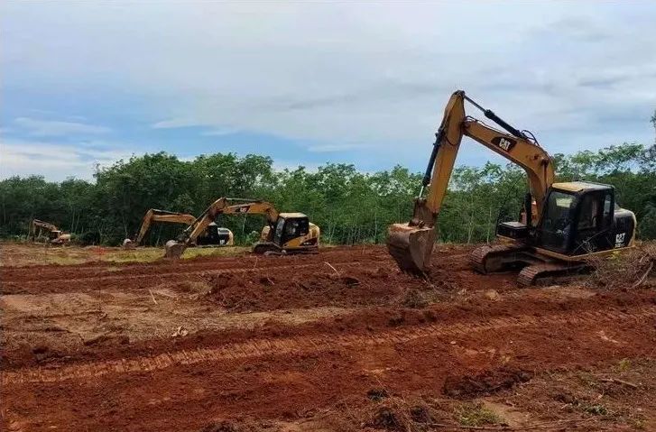 首页- 南宫NG28国际集团官方网站