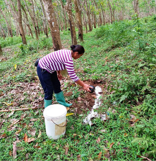 首页- 南宫NG28国际集团官方网站