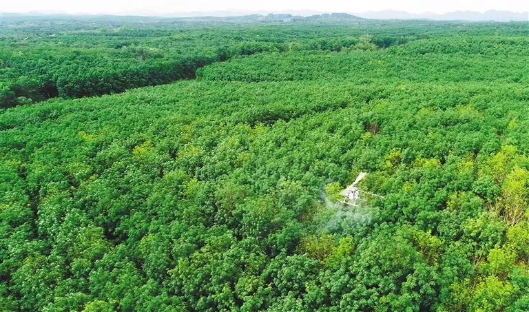 首页- 南宫NG28国际集团官方网站