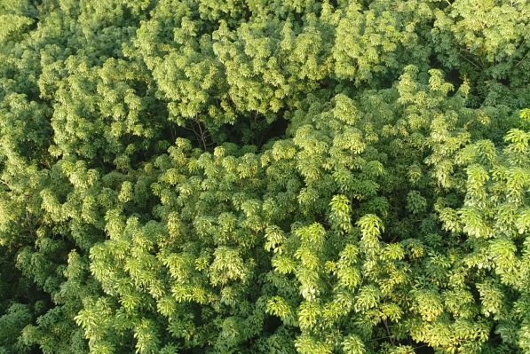 首页- 南宫NG28国际集团官方网站