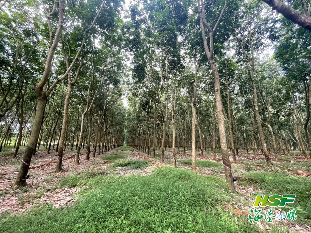 首页- 南宫NG28国际集团官方网站