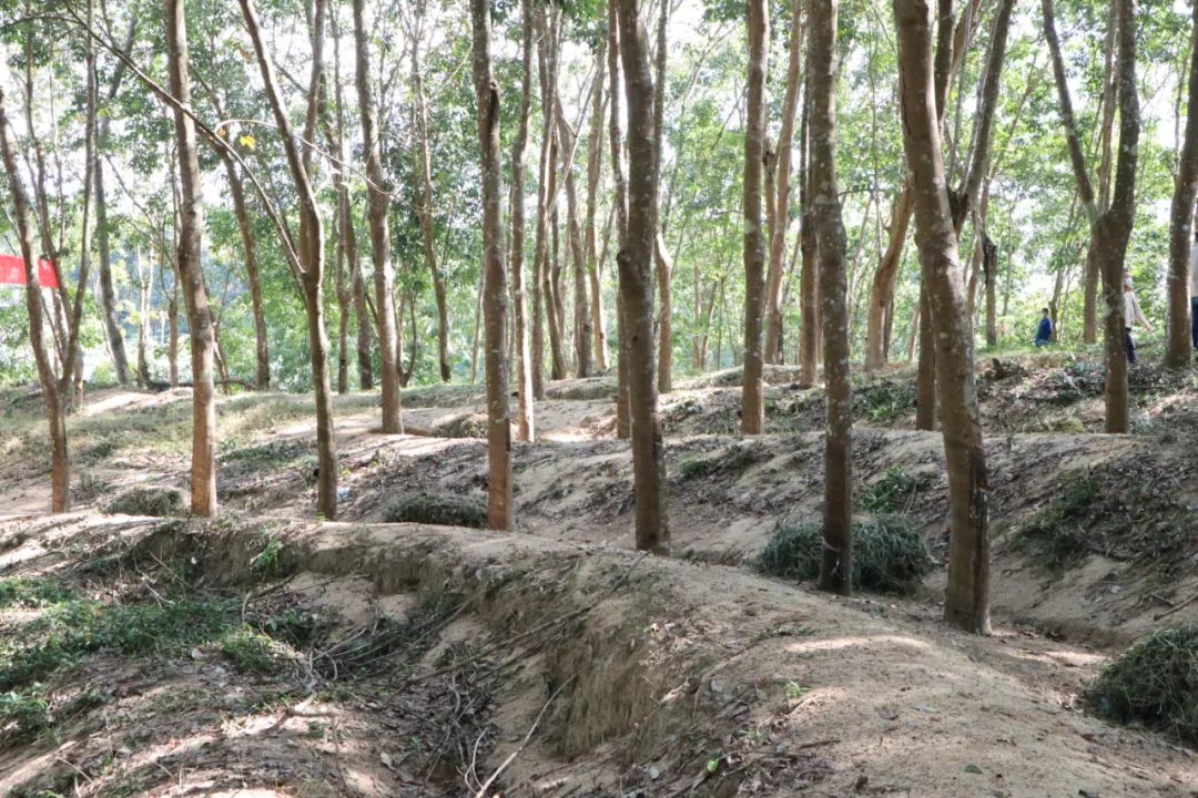 首页- 南宫NG28国际集团官方网站