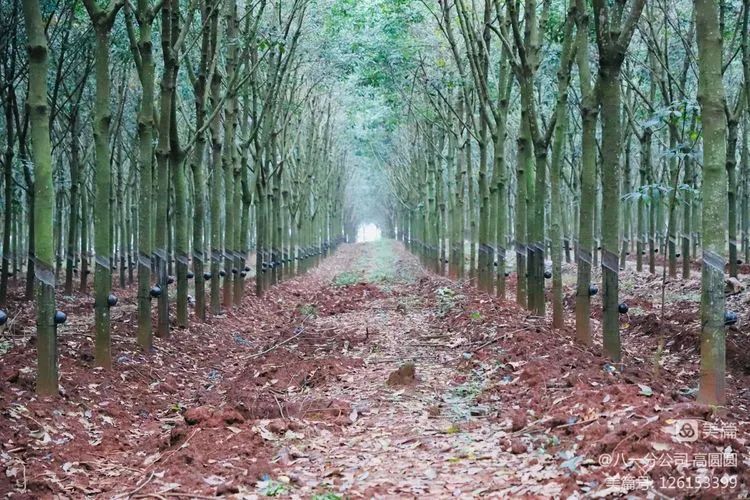 首页- 南宫NG28国际集团官方网站