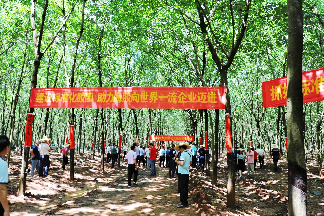 首页- 南宫NG28国际集团官方网站