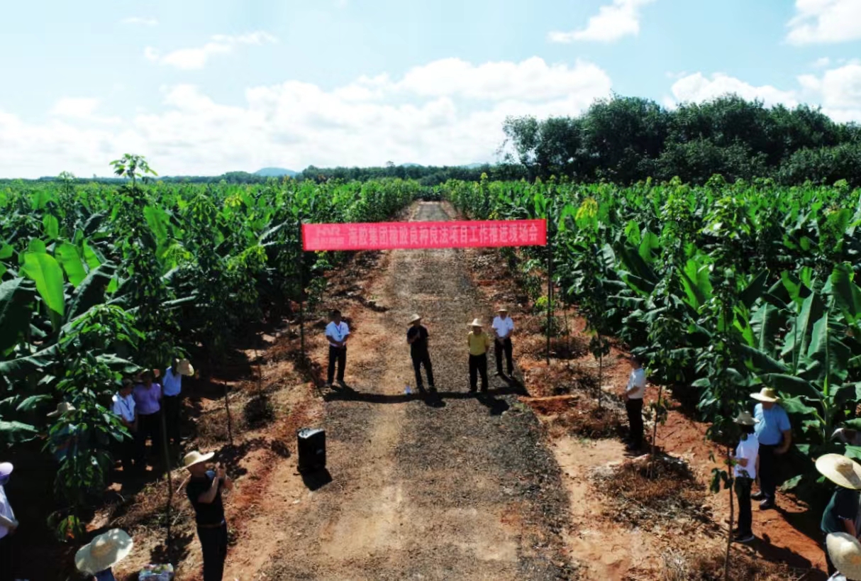 首页- 南宫NG28国际集团官方网站