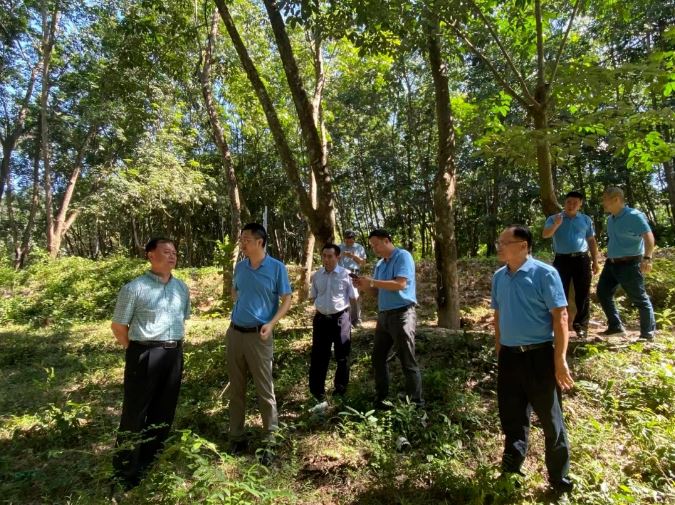 首页- 南宫NG28国际集团官方网站